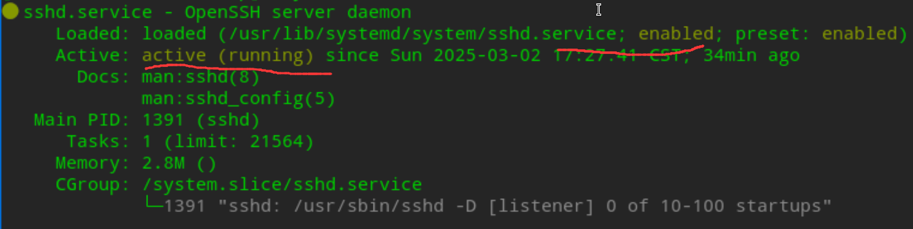 sshd-status
